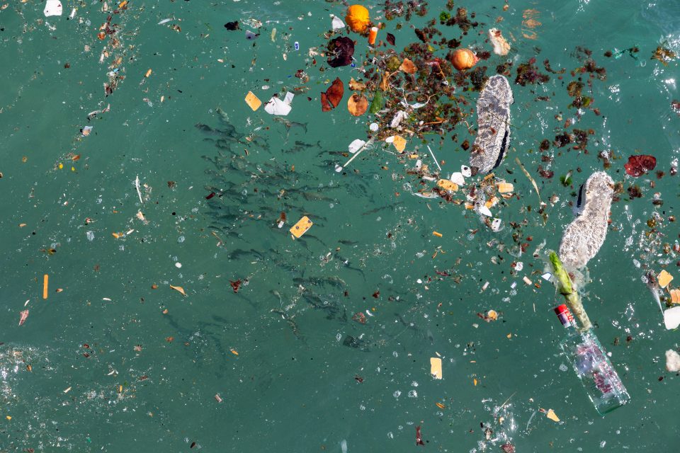 Déchets marins.jpeg