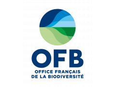 OFB